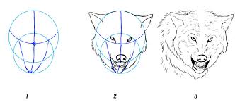 La migraine et son cortège de troubles pénibles. Comment Dessiner Un Loup Crayons Pinceaux