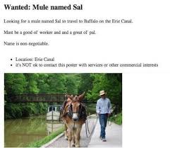The Most Ridiculous Craigslist Ads Of All Funny Craigslist Ads Ads Craigslist