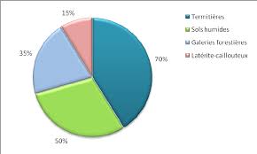 Image result for Ampelocissus multistriata