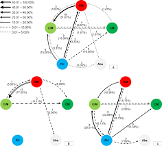 Image result for Baptorhachis foliacea