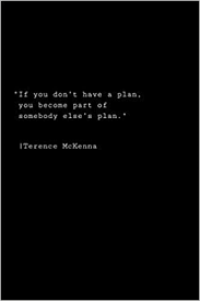 Discover terence mckenna famous and rare quotes. Amazon Com Have A Plan Terence Mckenna Quote Composition Notebook Journal Daily Planner 6 X 9 110 Pages Dotted Line Black 9798652351199 Publishing Riviv Books