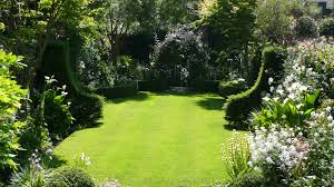 Pin On Garden 1