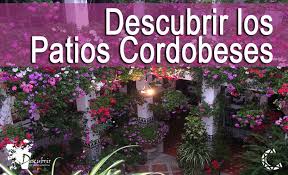 Resultado de imagen de IMAGENES en grande de los patios cordobese