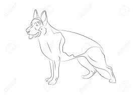 German shepherd coloring page to color, print or download. German Shepherd Dog Vector Outline Stock Illustration Realistic Royalty Free Cliparts Vectors And Stock Illustration Image 141976537