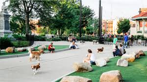 1,937 likes · 123 talking about this · 15 were here. Mutt Madness At Washington Park Welcomes Spring With A Dog Party And Pet Adoption Event