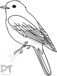 Step 14 How To Draw A Bird Tail Bird Drawings Simple Bird Drawing Drawing Birds Easy
