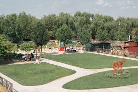 Sorry, there are no tours or activities available to book online for the date(s) you selected. Ce Este Ferma Animalelor Ferma Animalelor