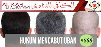 By theofilus richard 29 mei 2020 Pejabat Mufti Wilayah Persekutuan Al Kafi 588 Hukum Mencabut Uban