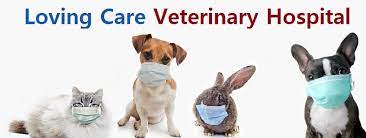Loving care animal hospital has been proudly serving pet owners from the greater largo area and beyond for over twenty years. Loving Care Veterinary Hospital Of West Milford Home Facebook
