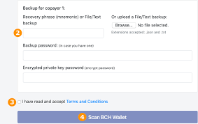 The company explained in a filing with the securities and exchange commission (sec) that it bought bitcoin to diversify its cash returns and more flexibility. How Can I Recover Bitcoin Cash Bch From My Wallet Bitpay Support