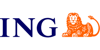 Costs, access to account and credit line. Ing Bank Slaski