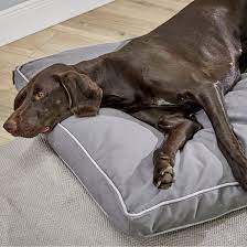 Wenn dein hund sich also auf eine doggyfit matratze legt, passt sich diese seinem körper an und geht, wenn er aufsteht wieder in seine ursprüngliche form zurück. Wolters Green Line Hunde Matratze Von Wolters Gunstig Bestellen Tiierisch De