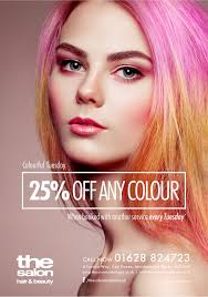 THE SALON POSTER CAMPAIGN DESIGNS :: Behance