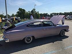 Image result for Marquessa Light Mauve 1966 AMC