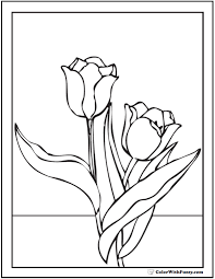 Simple coloring page with elegant flowers and leaves. Tulip Flower Coloring Pages 14 Pdf Printables