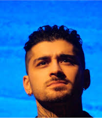 Zayn Malik Ensures Concert Safety for Fans