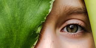 We are involved in our community in and out of the office. Another Reason To Send Kids Outside It S Good For Their Eyes By Elizabeth Preston Forge
