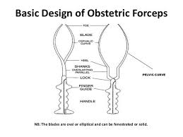 The handles are connected to the blades by shanks of variable lengths. Operative Vaginal Delivery
