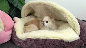Based on the guidance we got from experts, as well as our own research, we compiled below some of the best dog beds to keep your pet safe, comfortable and well. Diy Dog Bed Project How To Make A Homemade Dog Bed Cozy Cave Dog Bed Snuggle Dog Bed Dog Beds For Small Dogs