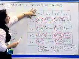 Țesuturi embrionare si țesuturi definitive; Prof Otilia LazÄƒr Biologie Youtube