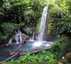 Demikian informasi tentang harga tiket masuk air terjun tumpak sewu lumajang yang dapat kita informasikan, semoga informasi ini dapat membantu sobat triper mencari destinasi baru di lumajang yang belum pernah kamu jelajahi dan air terjun ini bisa menjadi rekomendasi tujuan wisata kamu. Harga Tiket Air Terjun Kota Tinggi 2018