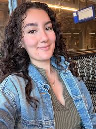 Hello Hello I am Amirhossein Chitsaz Zadeh, a master student of  International Institute of Social Studies in the Hague. I will graduate  next month and will start learning Dutch in Delft language