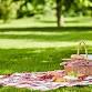 Picnic en Plaid