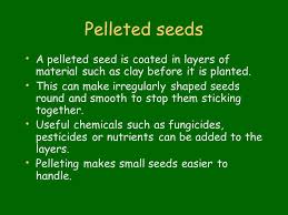 Maybe you would like to learn more about one of these? Growing Plants From Seeds Ppt Video Online Download
