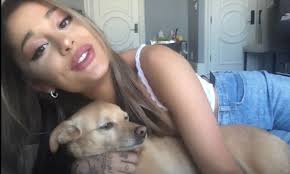 Ariana Grande introduces new beau Dalton Gomez in 'Stuck with U' music video