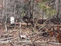 Mt. Zion Missionary Baptist Church Cemetery