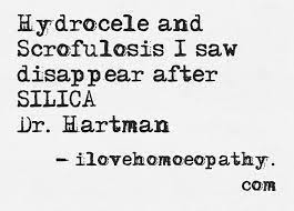 Get More From Pinterest Homeopathy Homeopathic Remedies Health Practices