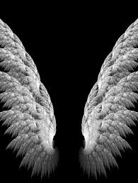 Angel Wings Asas De Anjo Tatuagem De Asas Planos De Fundo