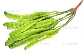 Image result for Parkia