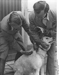 Apr 16, 2021 · a top moderna executive said the united states is in a good position to move into booster shots because of its vaccine rollout, whereas many other nations are still getting first vaccinations. Vaccination Of Dogs Wikipedia