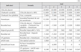 Previzionarea Cash Flow Urilor Investiției I