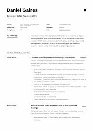 Resume sales position grude interpretomics co sales representative job description resume quick retail sales use this resume writing guide to get the job. Guide Customer Sales Representative Resume 12 Samples Pdf 2020
