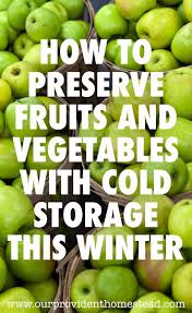 How To Store Fruits And Vegetables With Cold Storage This Winter Fruits And Vegetables Food Store Cold Storage