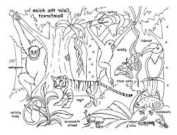 Rainforest Animals Coloring Page Desert Animals Coloring Animal Coloring Books Animal Coloring Pages