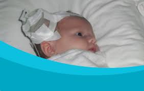 Image result for Harveya