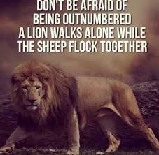 247 Motivational Inspirational Quotes 153 Lion Quotes Warrior Quotes Inspirational Quotes Motivation