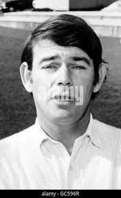 Robin posing Black and White Stock Photos & Images