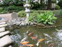 The Kaiserslautern At The Gartenschau And Japanischer Garten Stationedingermany Com