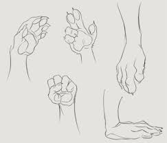 Pin On Hands Reference