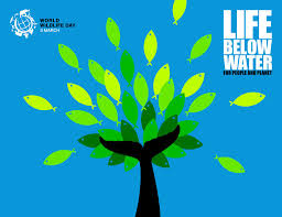 According to the world wildlife federation, around 55 african elephants are caught by poachers every day. World Wildlife Day 2019 Planeta Com