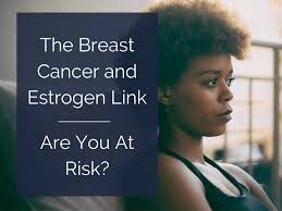 Lobules, ducts, and connective tissue. The Breast Cancer And Estrogen Link How To Prevent Breast Cancer