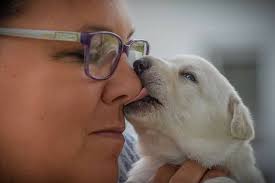 Excellent Photography 🥰❤️