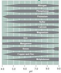 We did not find results for: Soil Management