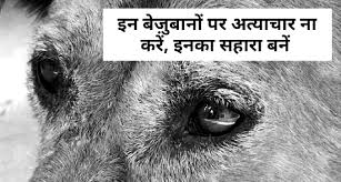 Animal Sayings And Quotes In Hindi Animal Quotes Hindi In 2021 Animal Quotes Inspirational Quotes In Hindi Hindi Quotes