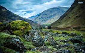 Rocky Mountain Wallpaper Rocky Mountains Mountain Wallpaper Background Images