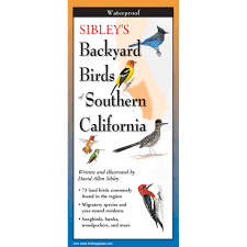 Arizona, new mexico, southern california, and southern nevada. Sibley S Backyard Birds Of Southern California Sibley Guides